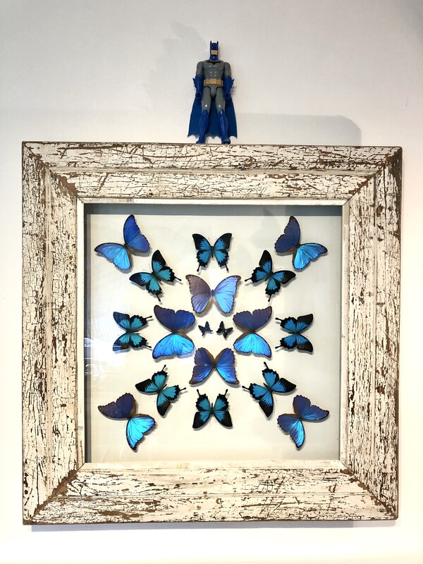 Batman Versus Butterflies , box frame , encadrement composition creation papillons decoration interior wall decoration encadrement 
