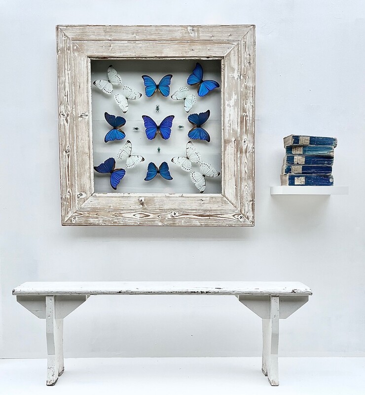 'Butterflies' Cadre Boitier verre Papillons 