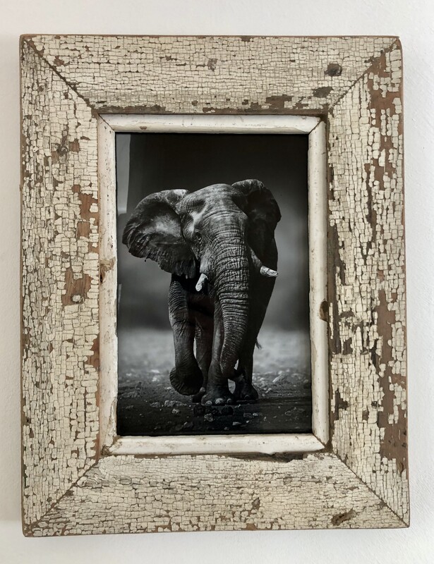 Cadre Bois patine d'origine Photo B&W Elephant Decoration Intérieur Encadrement 